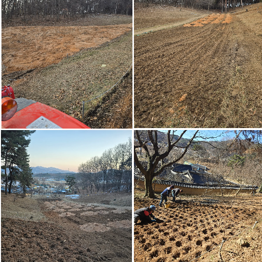 781ec14dd2ab212003e8bd0e0c3fb4ca_1771993711_6654.png 781ec14dd2ab212003e8bd0e0c3fb4ca_1771993711_6654.png